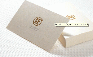 Metallic Paper Business Card